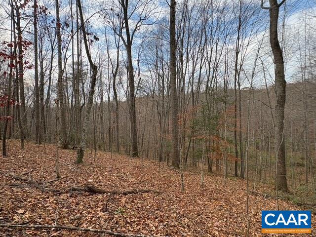 23-5a Mitchell Mountain Road, Unit 5A Reva, VA 22735 - Photo 11 of 18