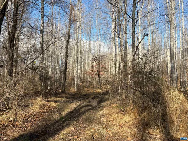a view of a backyard of the house