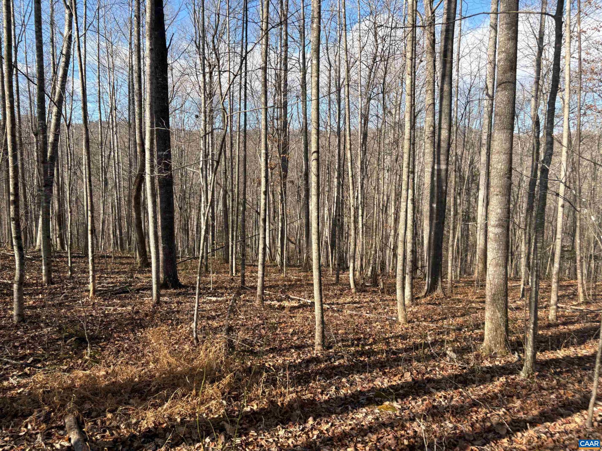 23-5a Mitchell Mountain Road, Unit 5A Reva, VA 22735 - Photo 15 of 18