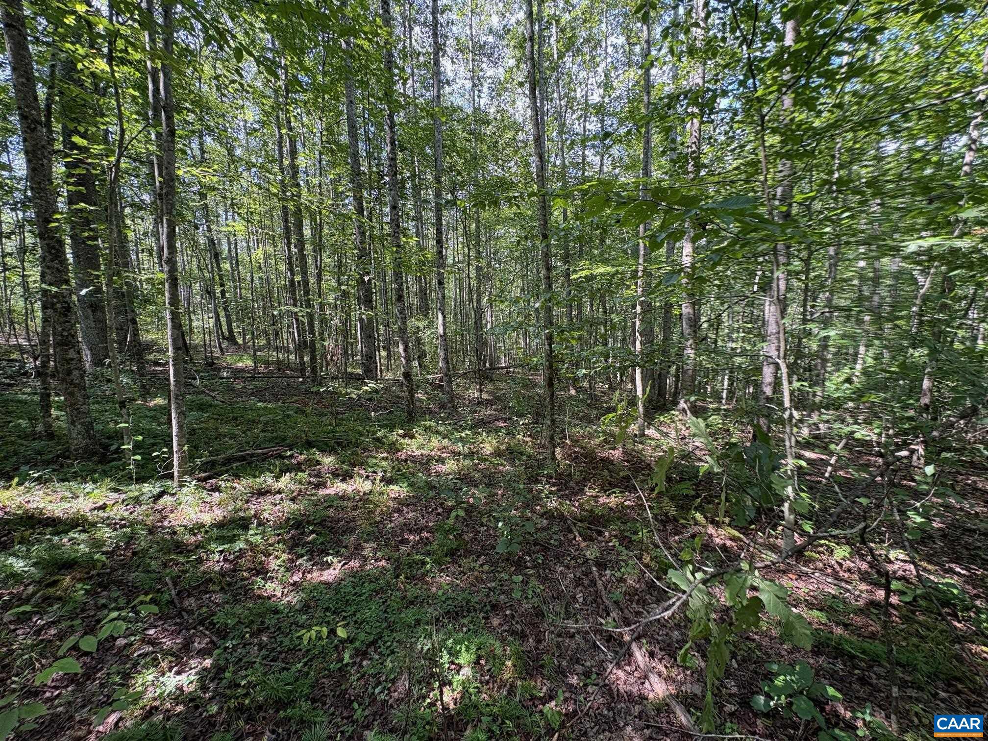 23-5a Mitchell Mountain Road, Unit 5A Reva, VA 22735 - Photo 3 of 18