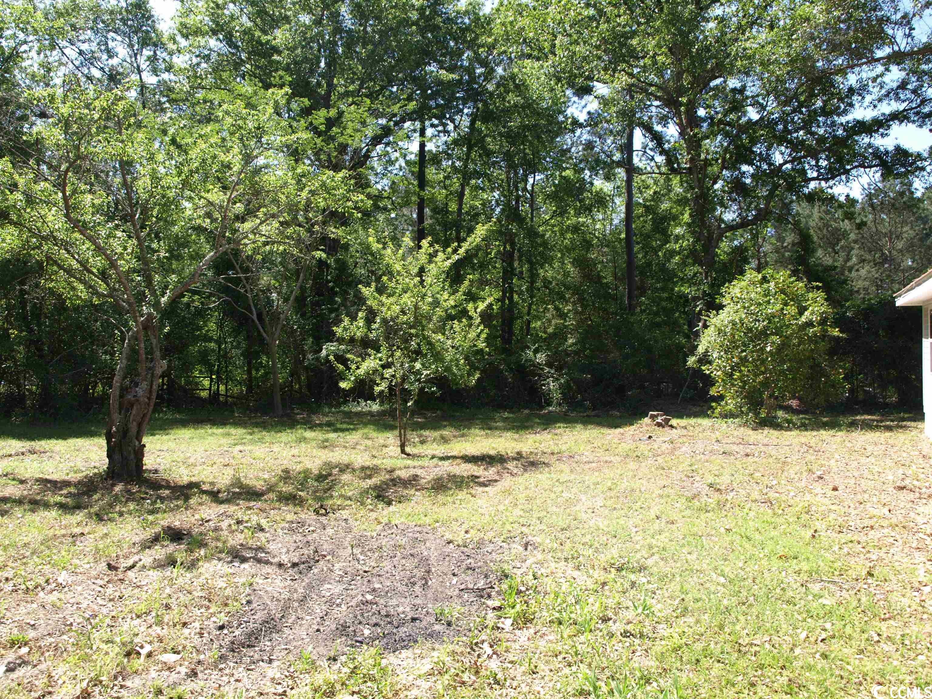 1451 Outlook Road Galivants Ferry, SC 29544 - Photo 25 of 26 Gallery Image 25