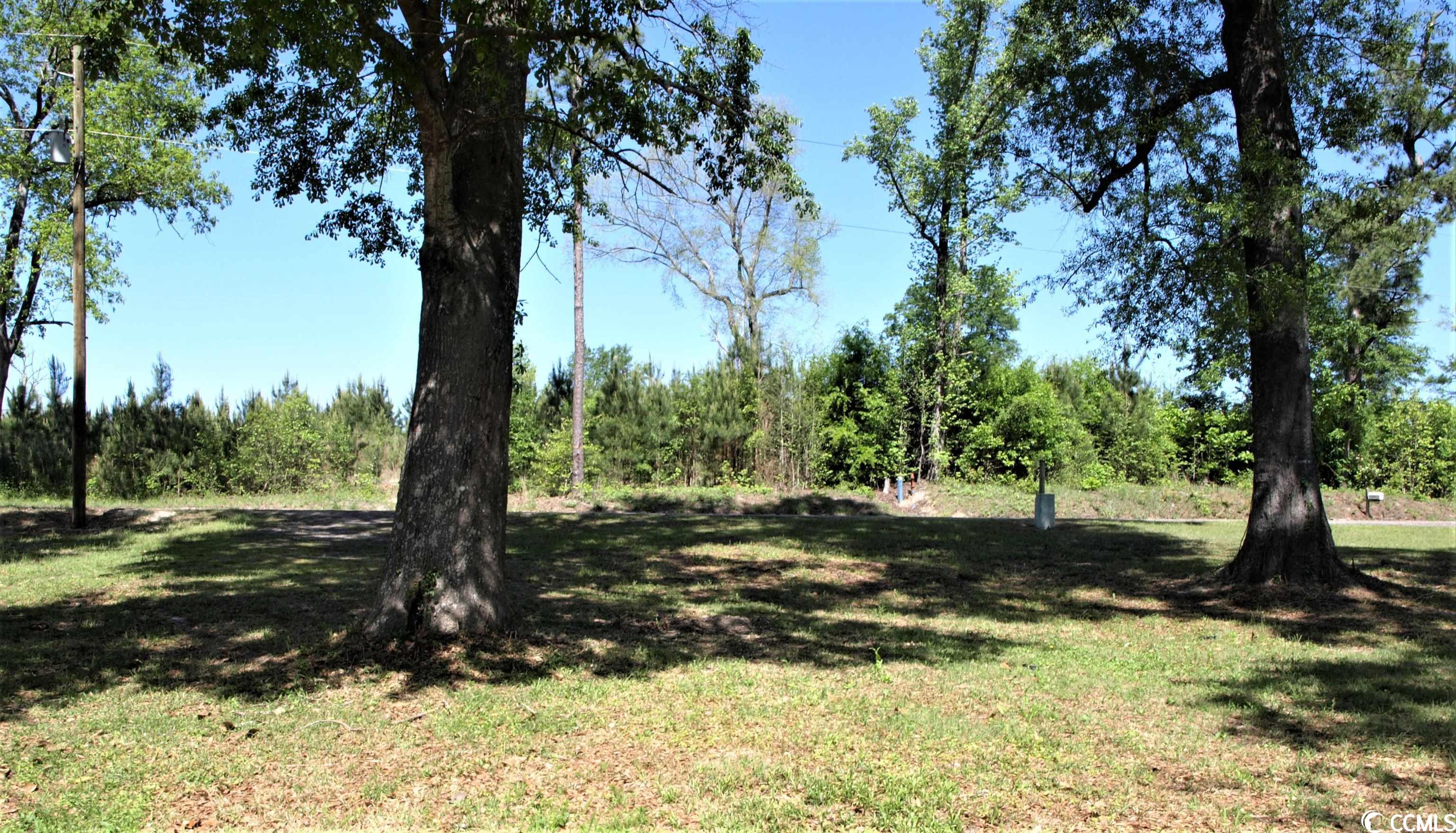 1451 Outlook Road Galivants Ferry, SC 29544 - Photo 26 of 26 Gallery Image 26