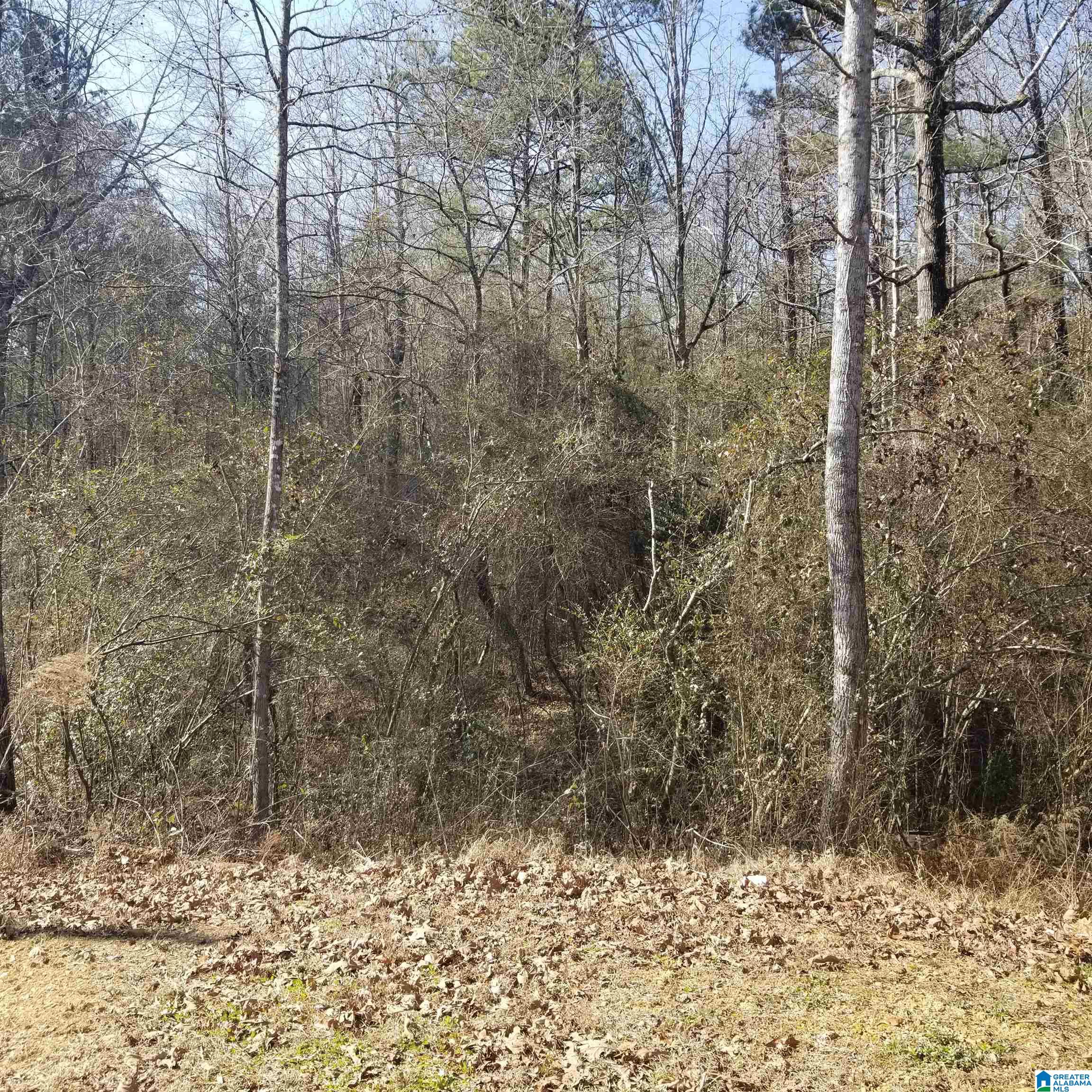635 Deerbrook Road Pell City, AL 35125 - Photo 30 of 39