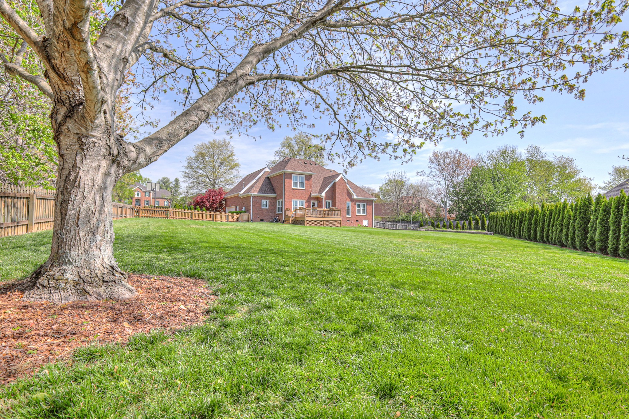 305 Eiderdown Court Franklin, TN 37064 - Photo 27 of 31 a view of a garden with large trees