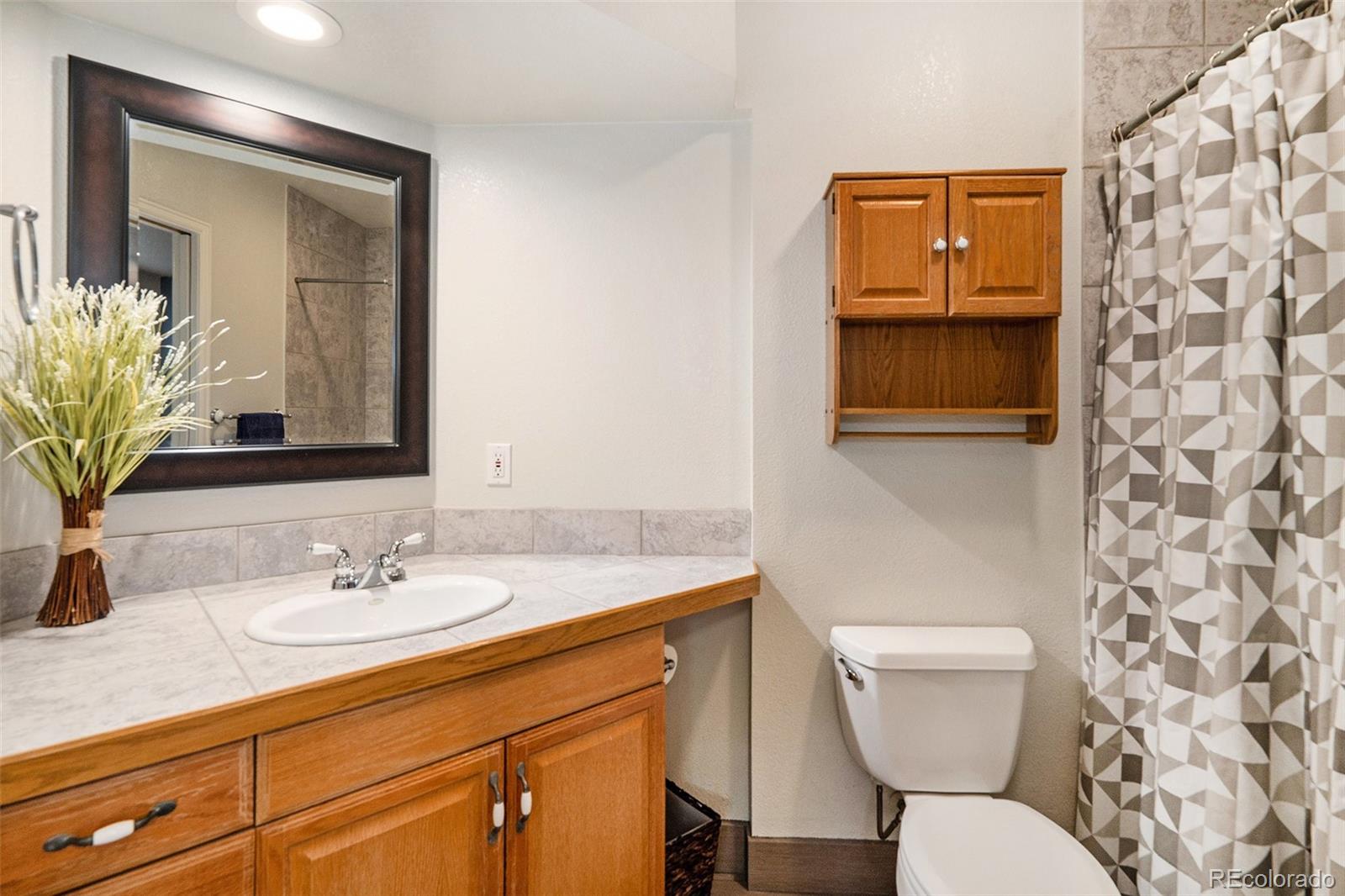 735 Poppy Place Highlands Ranch, CO 80129 - Photo 18 of 30 Gallery Image 18