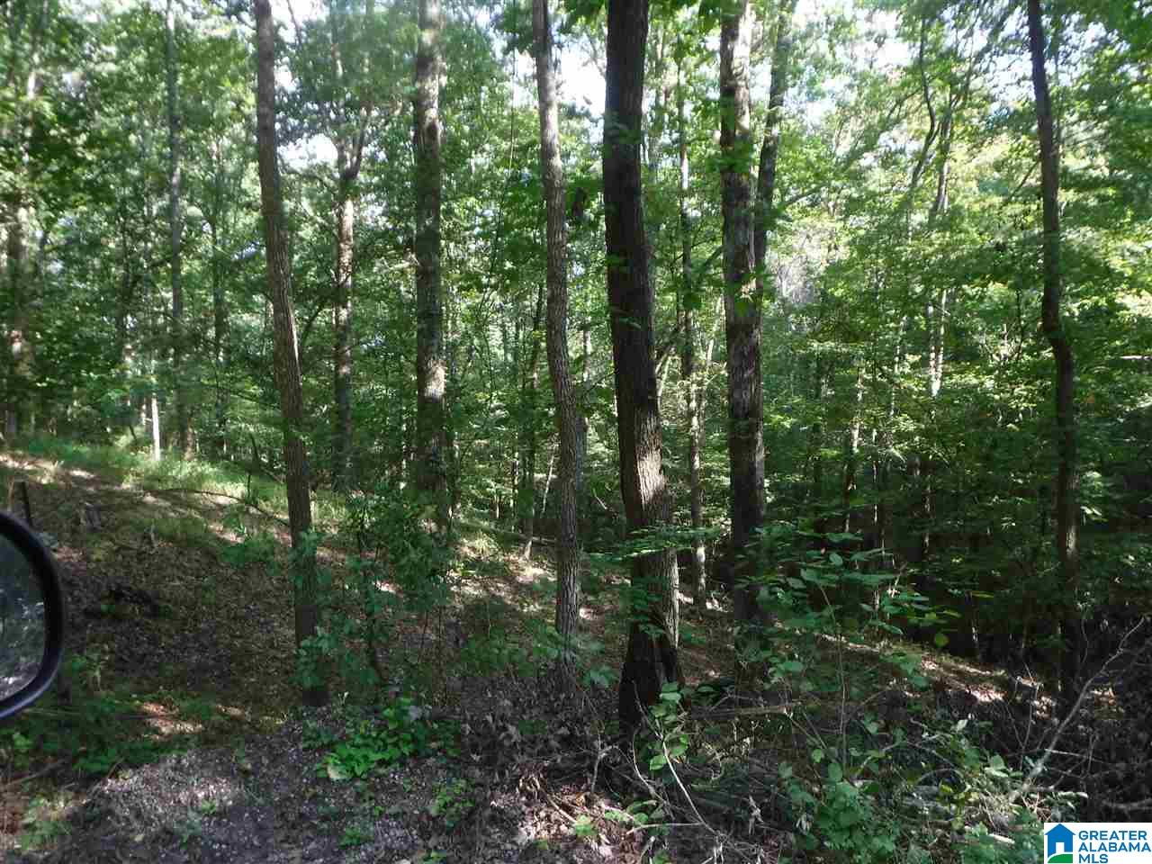 205 Venable Road Odenville, AL 35120 - Photo 11 of 11