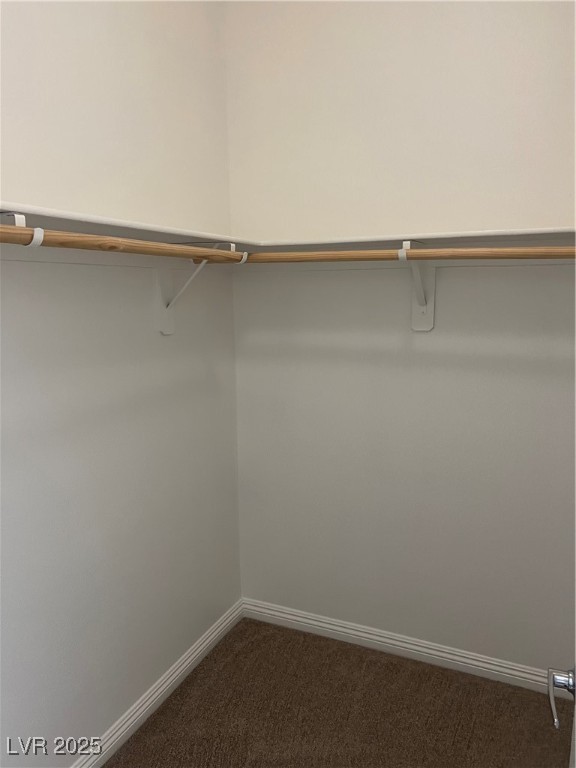 1070 Bobby Basin Avenue Henderson, NV 89014 - Photo 19 of 23 Walk in closet with dark carpet