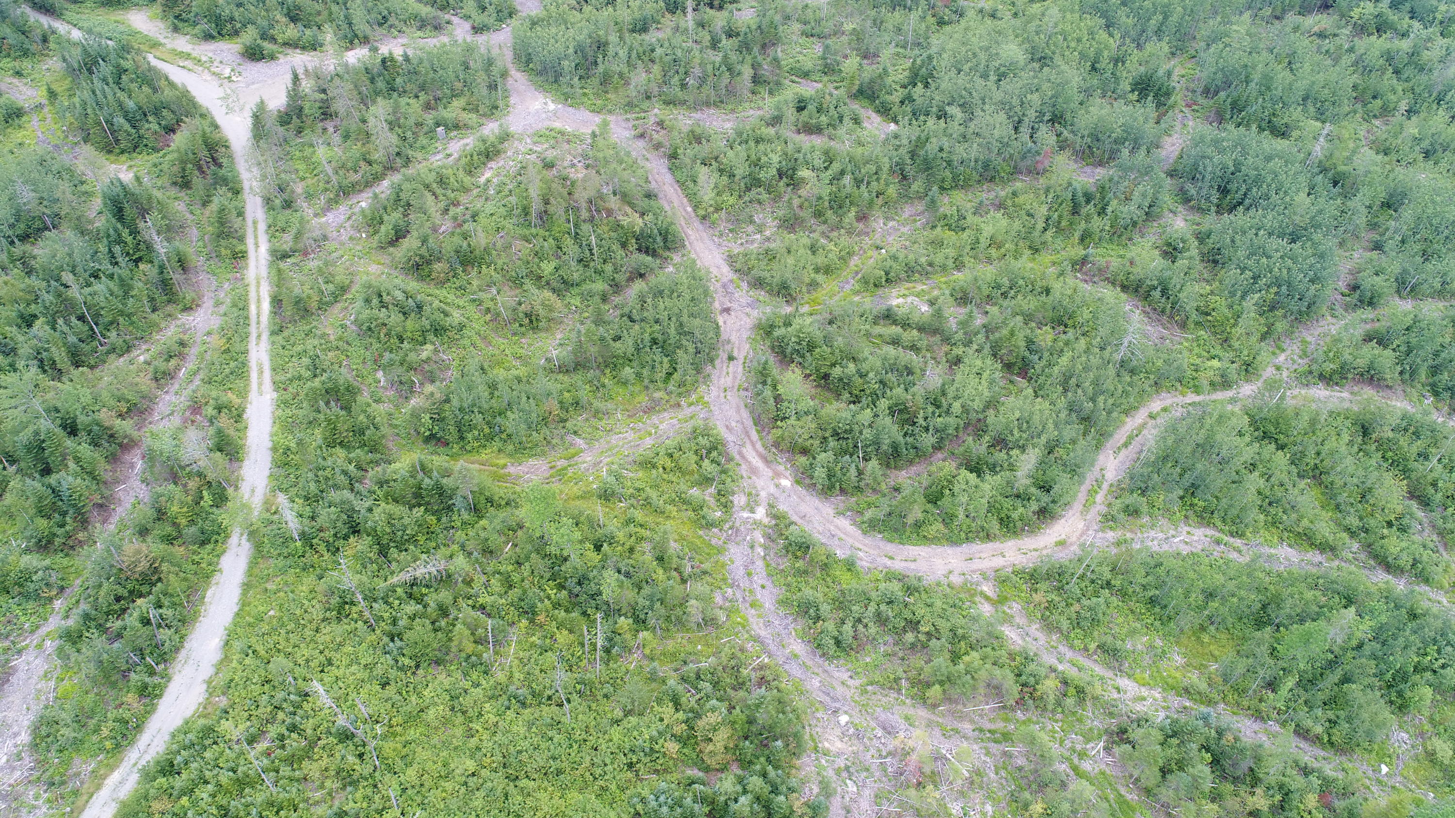 Tbd McCarty Road Solon, ME 04979 - Photo 5 of 17 DJI_0106