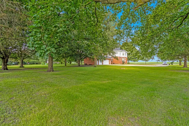 a view of a park with large trees