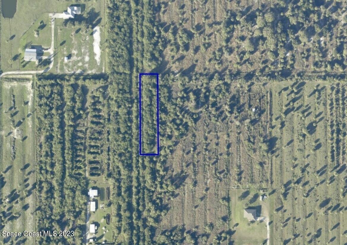 a close up of a shower curtain