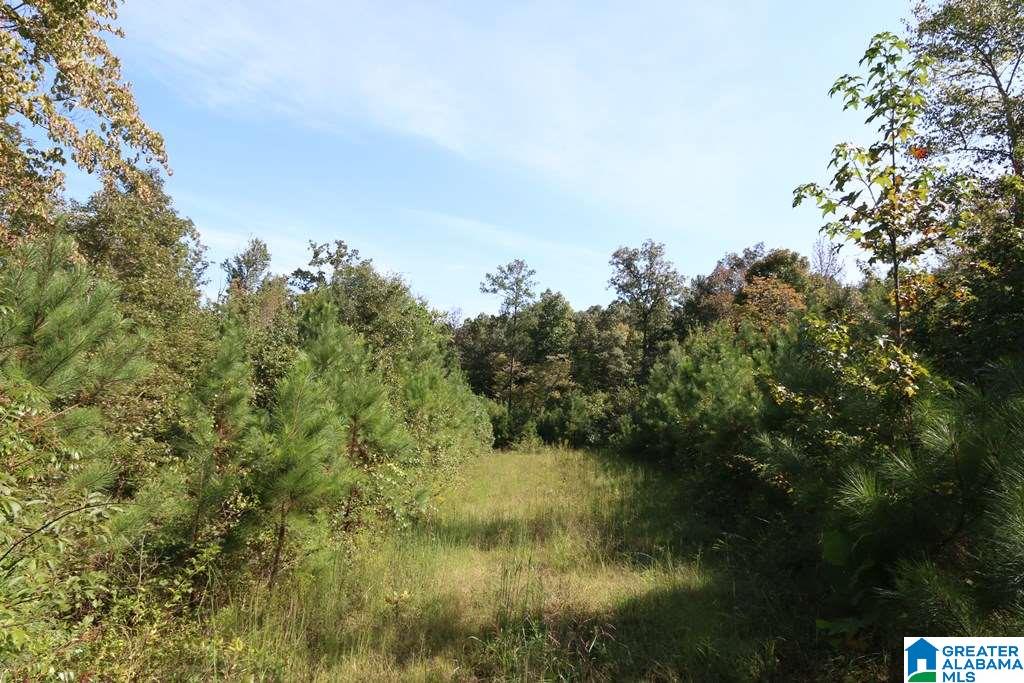 Sprayberry Road, Unit 103 Cropwell, AL 35054 - Photo 22 of 48