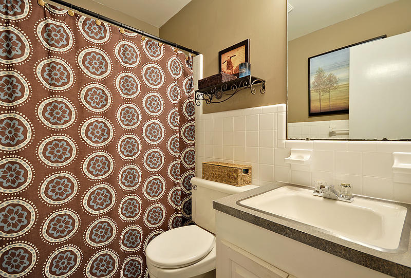 209 Whitesville Road Moncks Corner, SC 29461 - Photo 17 of 29 Hall bathroom