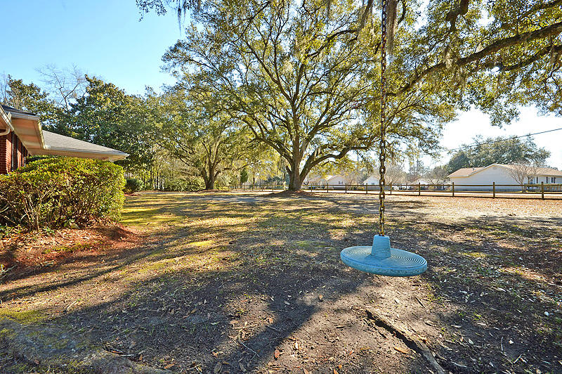 209 Whitesville Road Moncks Corner, SC 29461 - Photo 21 of 29 tree swing