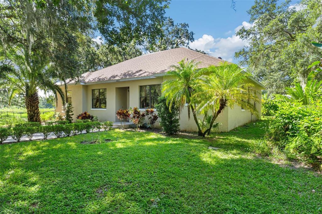 26833 Anderson Ranch Road Yalaha, FL 34797 - Photo 5 of 45