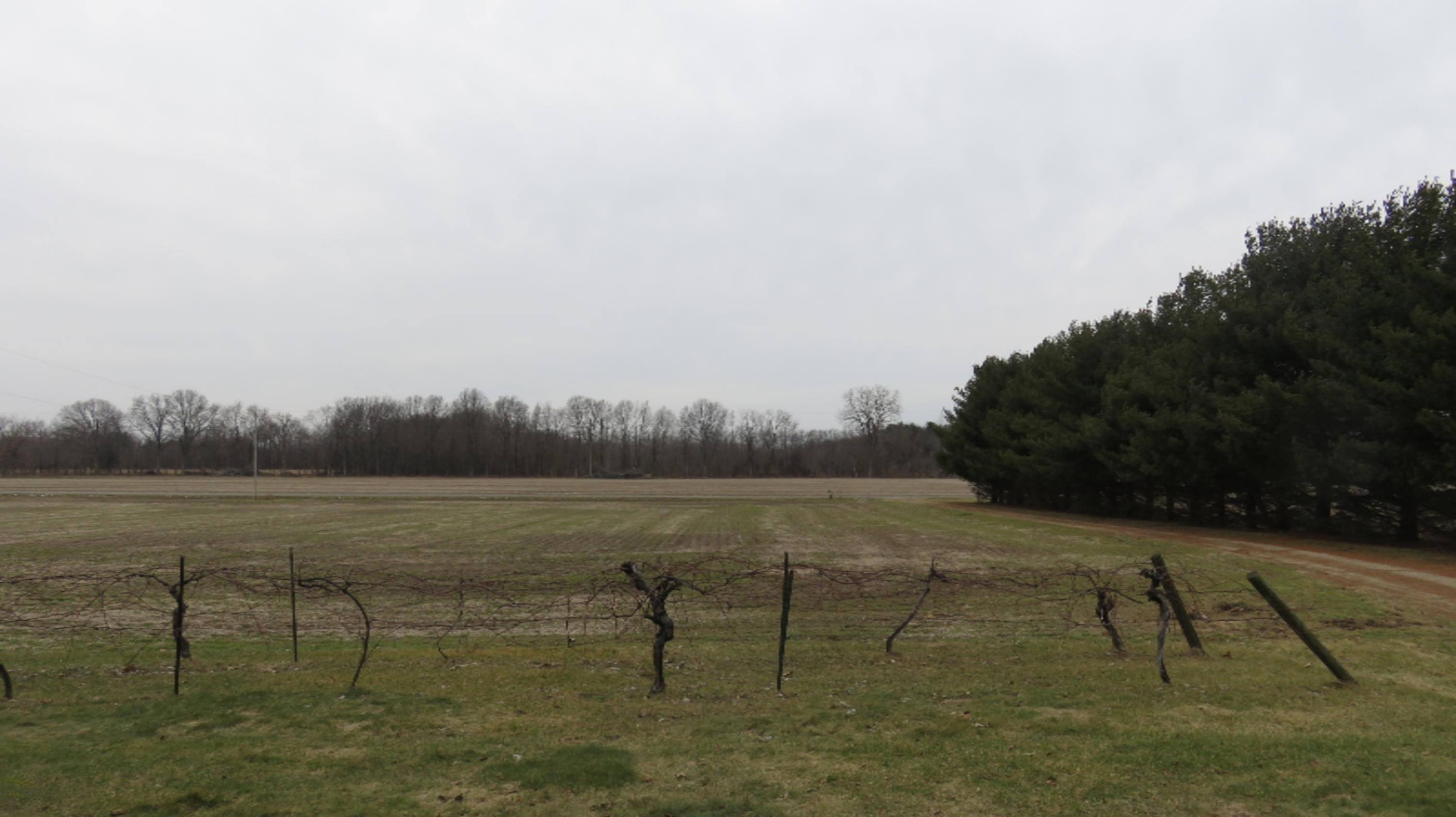 14229 South Pardee Road Buchanan, MI 49107 - Photo 1 of 8 IMG_1992