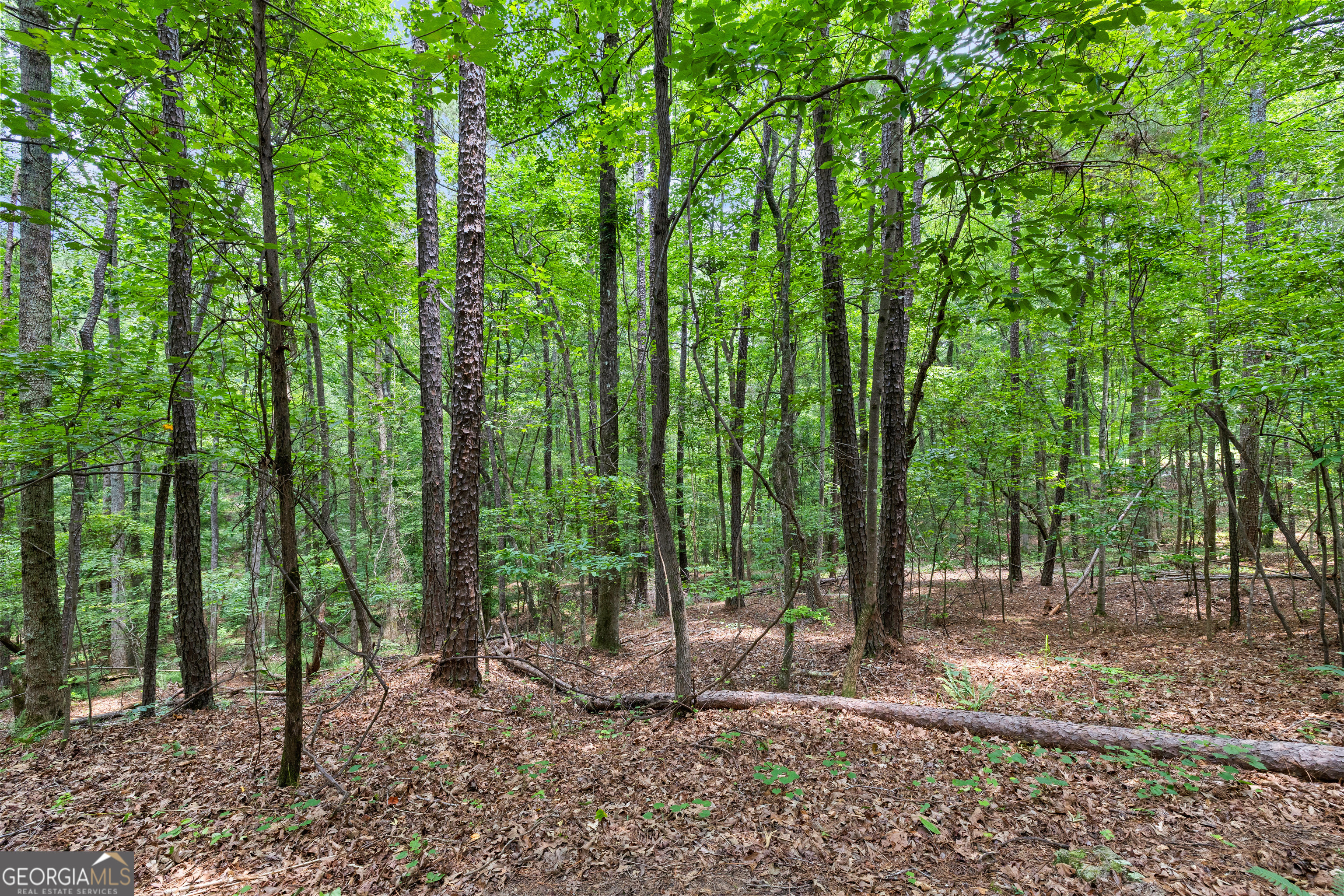 0 Terry Road Fairburn, GA 30213 - Photo 9 of 22