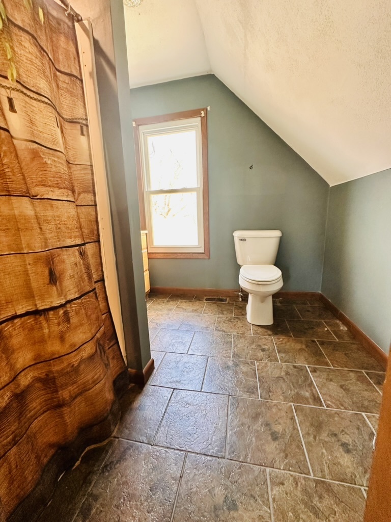 411 East Hamilton Street Odell, IL 60460 - Photo 18 of 19 a bathroom with a toilet