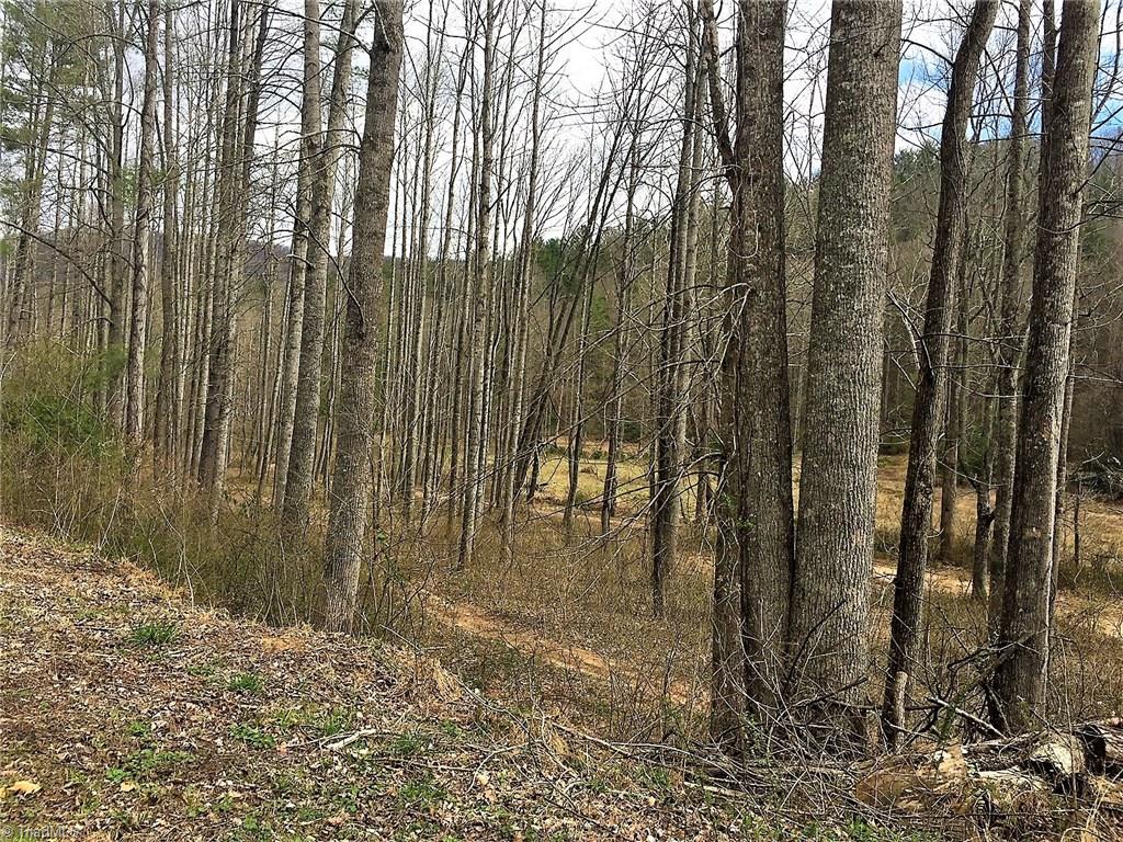 Tbd Vannoy Road Millers Creek, NC 28651 - Photo 2 of 12