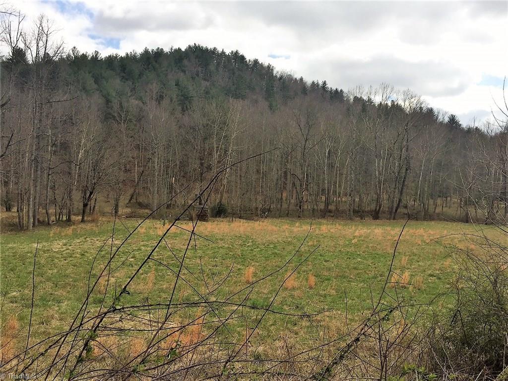 Tbd Vannoy Road Millers Creek, NC 28651 - Photo 12 of 12