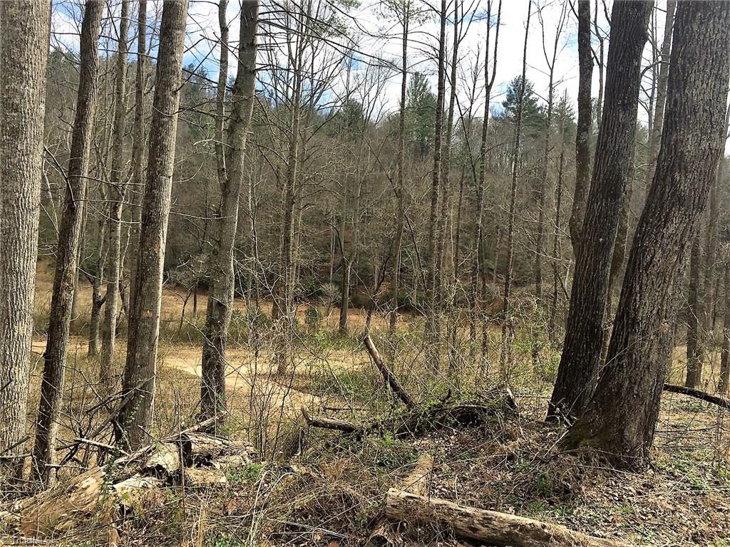Tbd Vannoy Road Millers Creek, NC 28651 - Photo 3 of 12