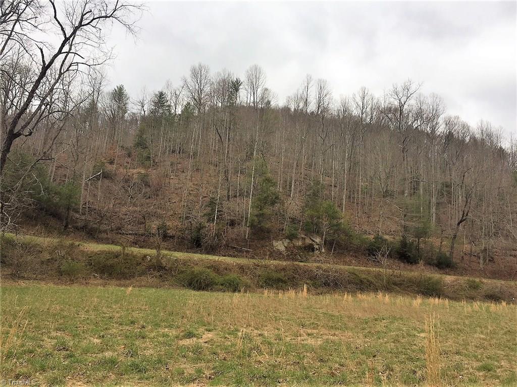 Tbd Vannoy Road Millers Creek, NC 28651 - Photo 9 of 12