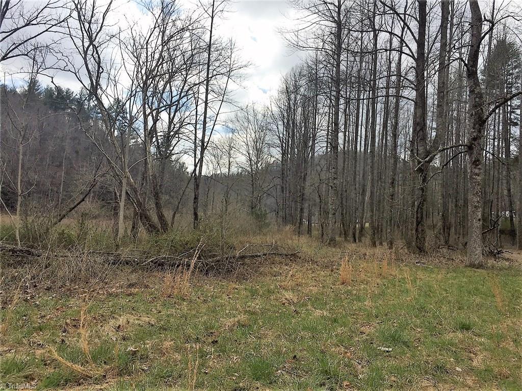 Tbd Vannoy Road Millers Creek, NC 28651 - Photo 10 of 12
