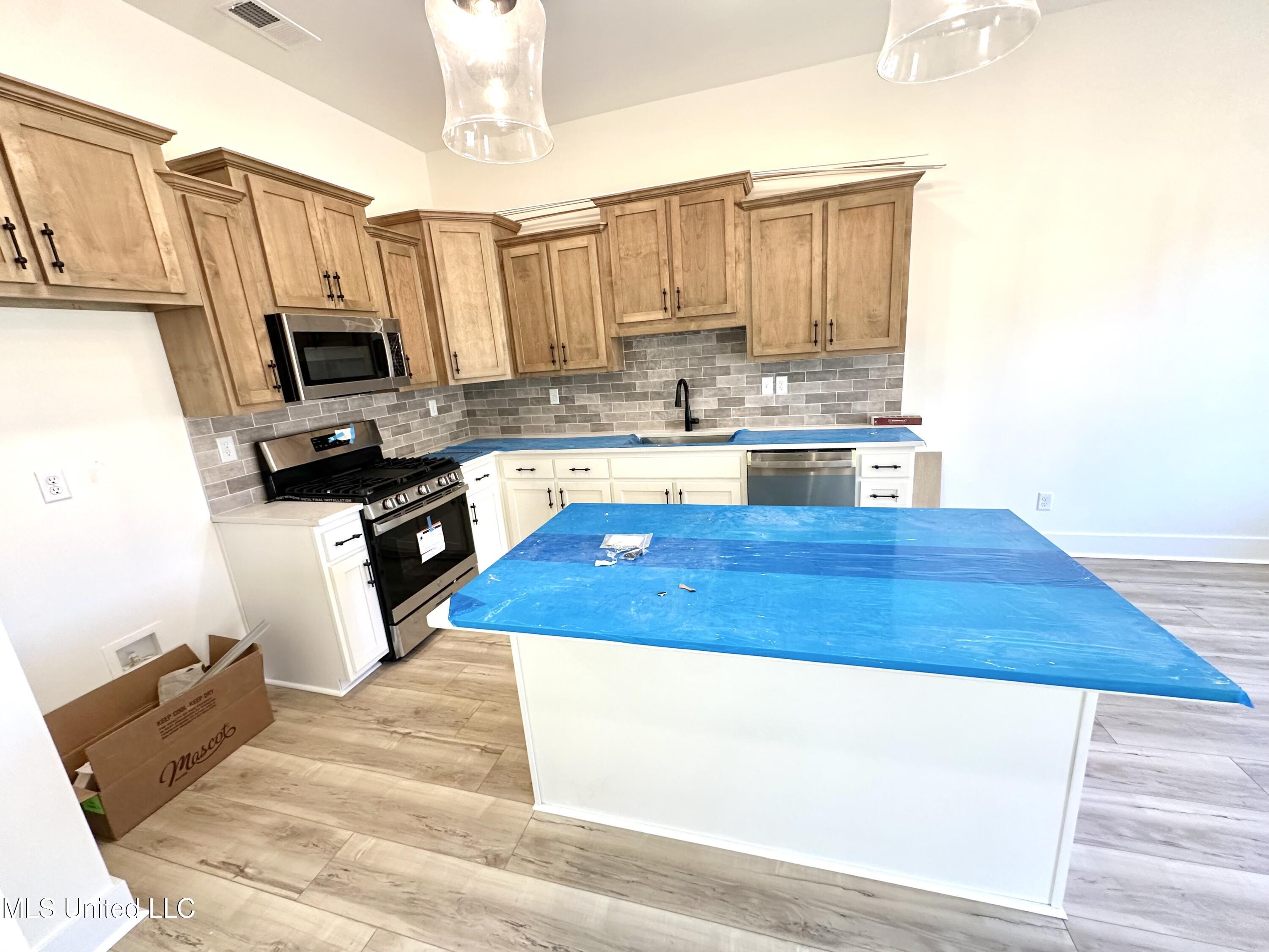 2952 Eden Lane Nesbit, MS 38651 - Photo 4 of 24 IMG_4784