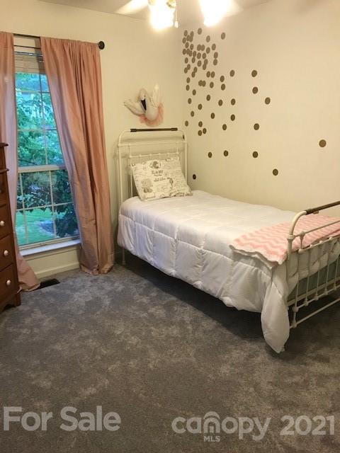 314 Spring Street Davidson, NC 28036 - Photo 10 of 15 Gallery Image 10