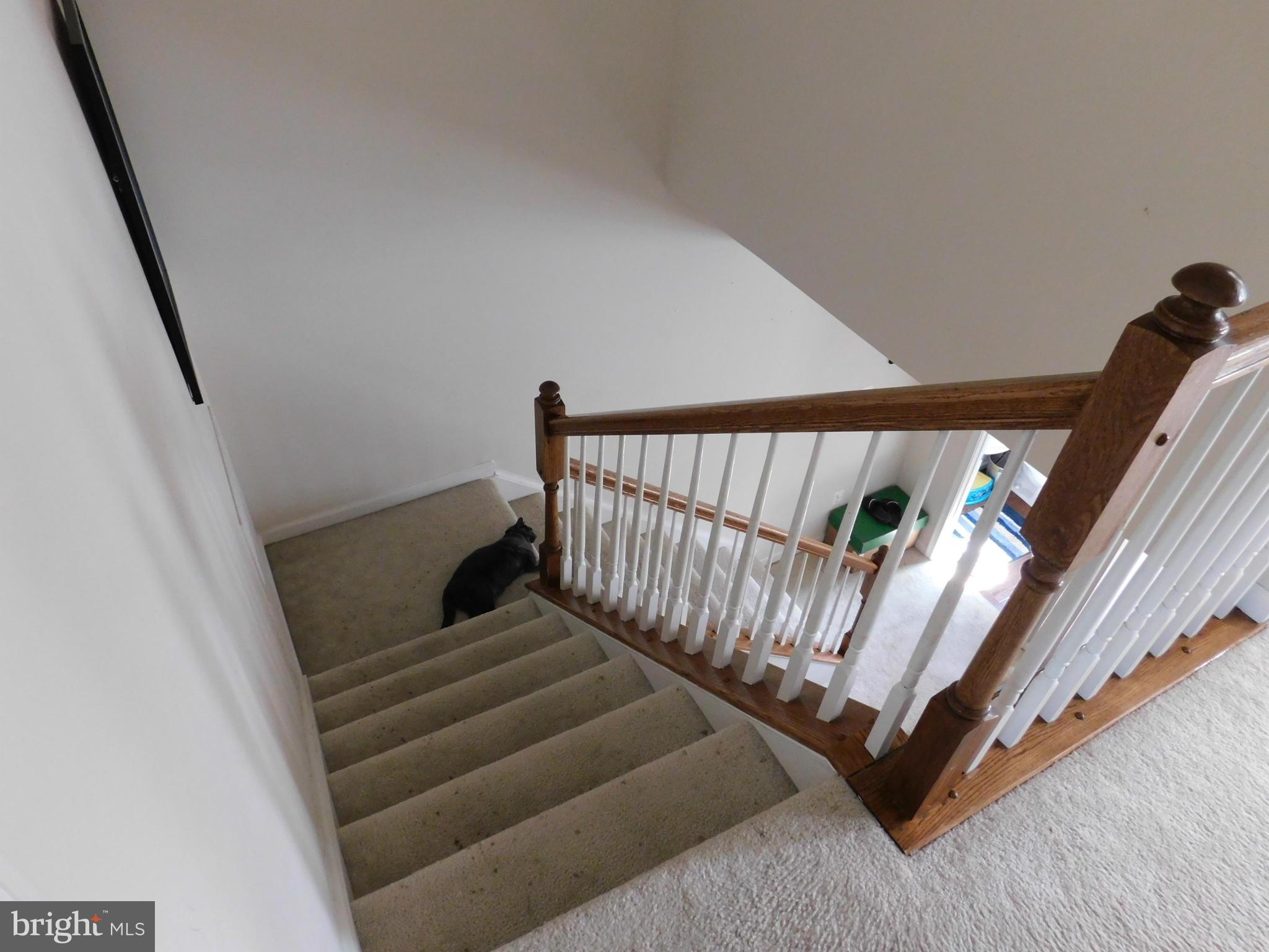 3837 Cullingworth Road Burtonsville, MD 20866 - Photo 16 of 23 View