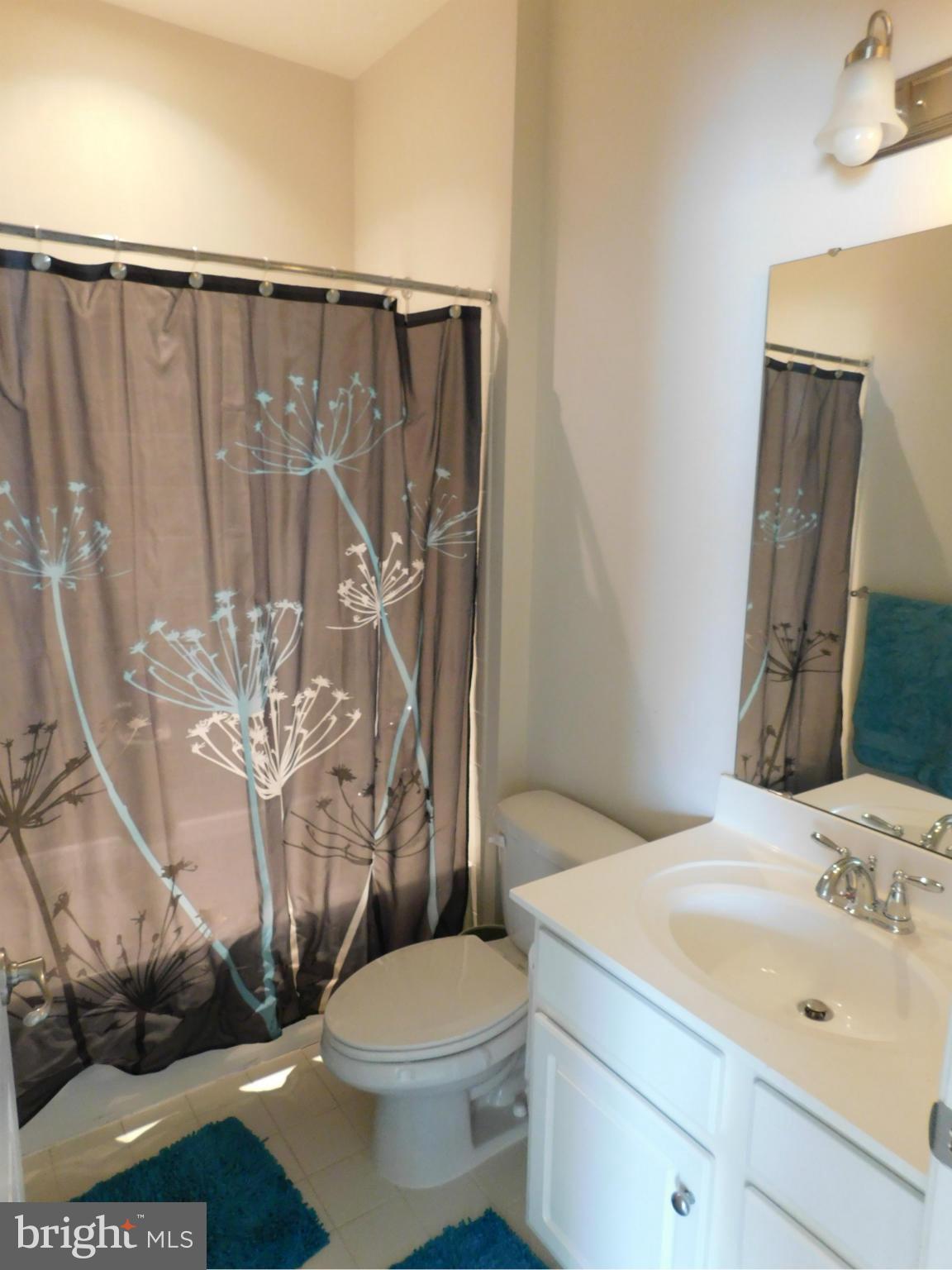 3837 Cullingworth Road Burtonsville, MD 20866 - Photo 19 of 23 Bath
