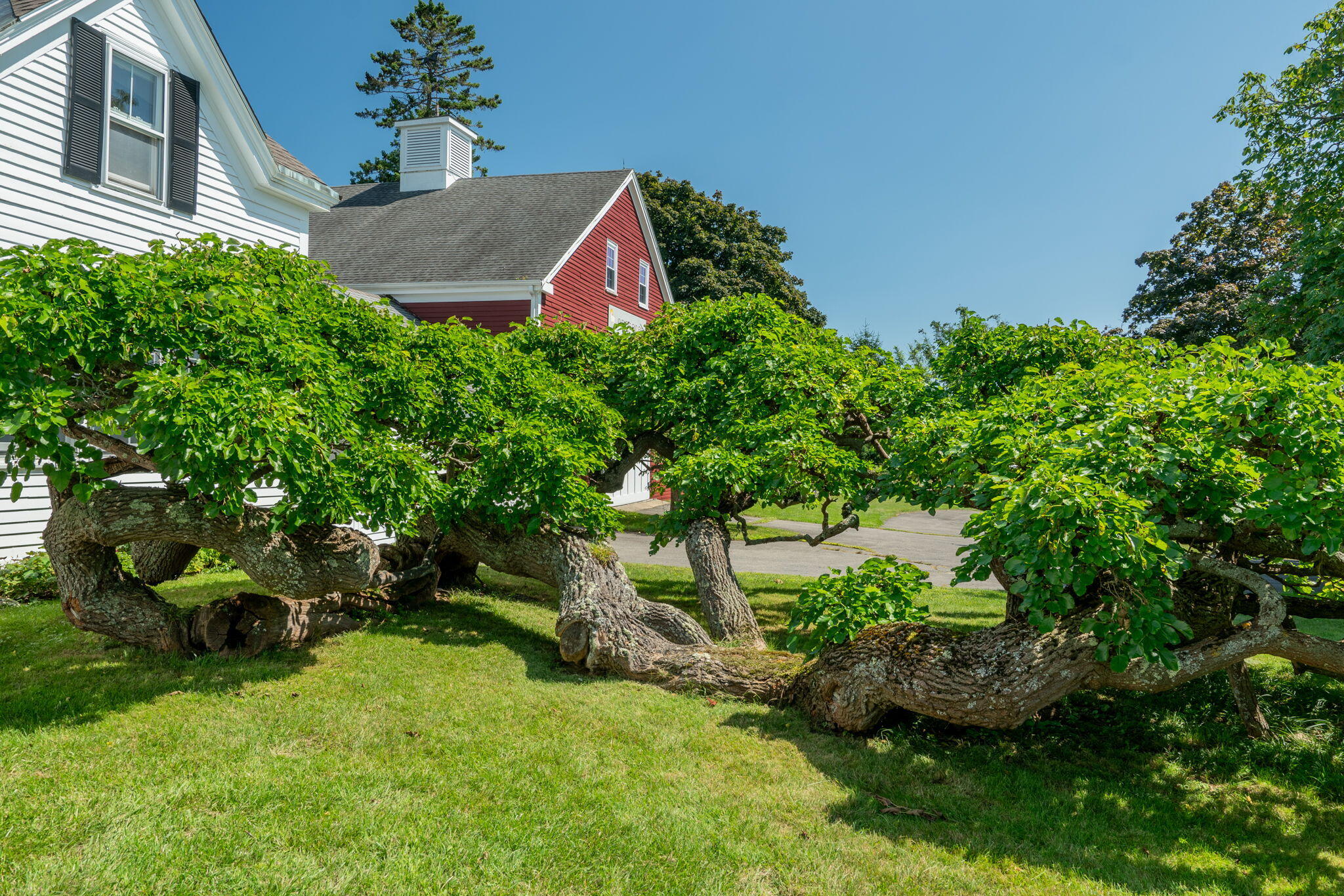 72 Two Lights Road Cape Elizabeth, ME 04107 - Photo 15 of 120 25-web-or-mls-72 Two Lights New-2