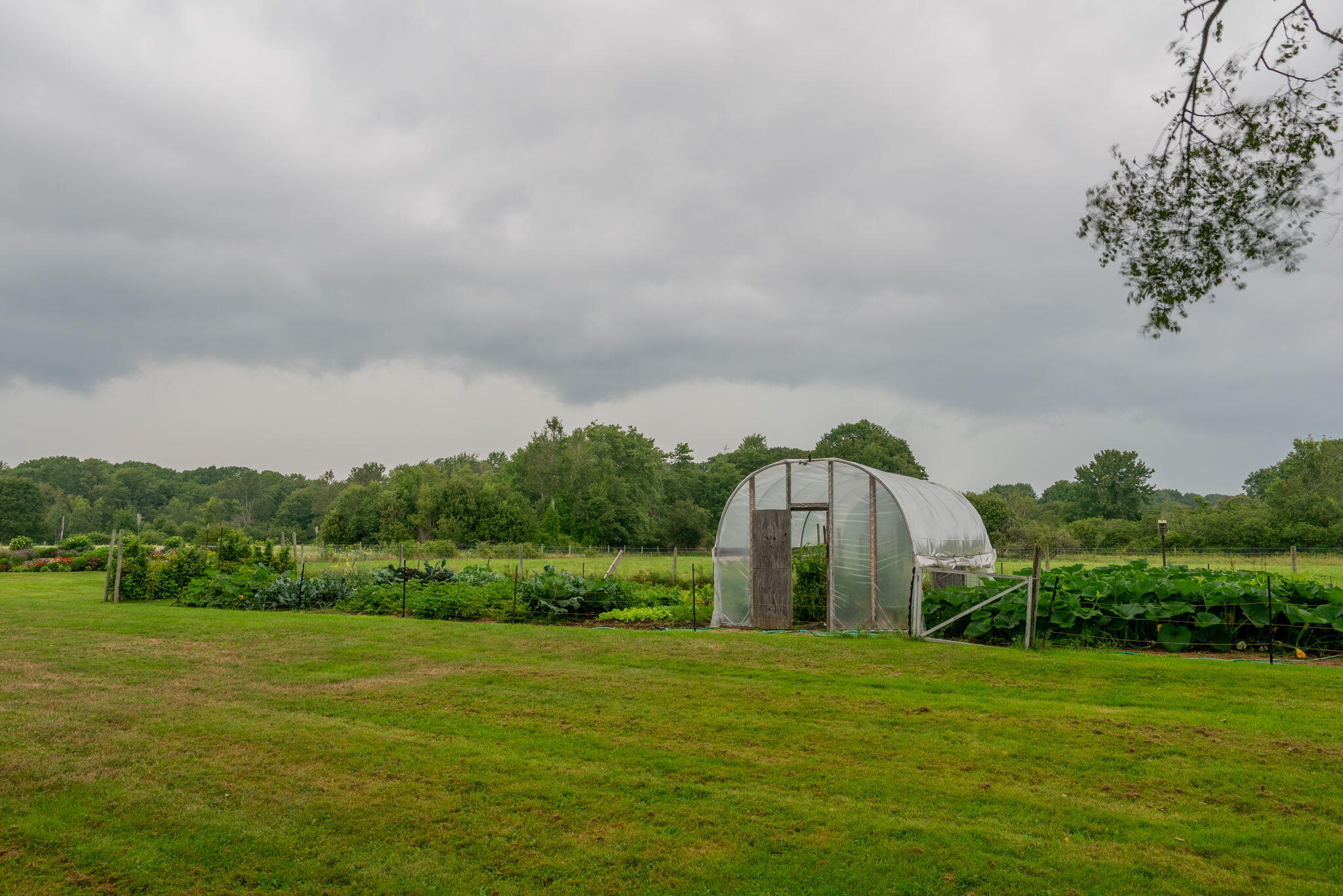 72 Two Lights Road Cape Elizabeth, ME 04107 - Photo 10 of 120 21-web-or-mls-72 Two Lights Rd14