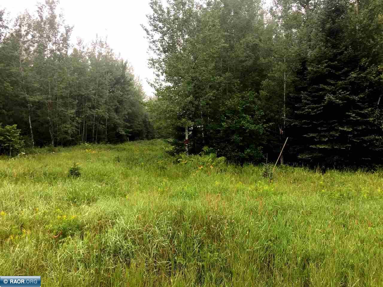 Tbd Vermilion Drive Cook, MN 55723 - Photo 5 of 7