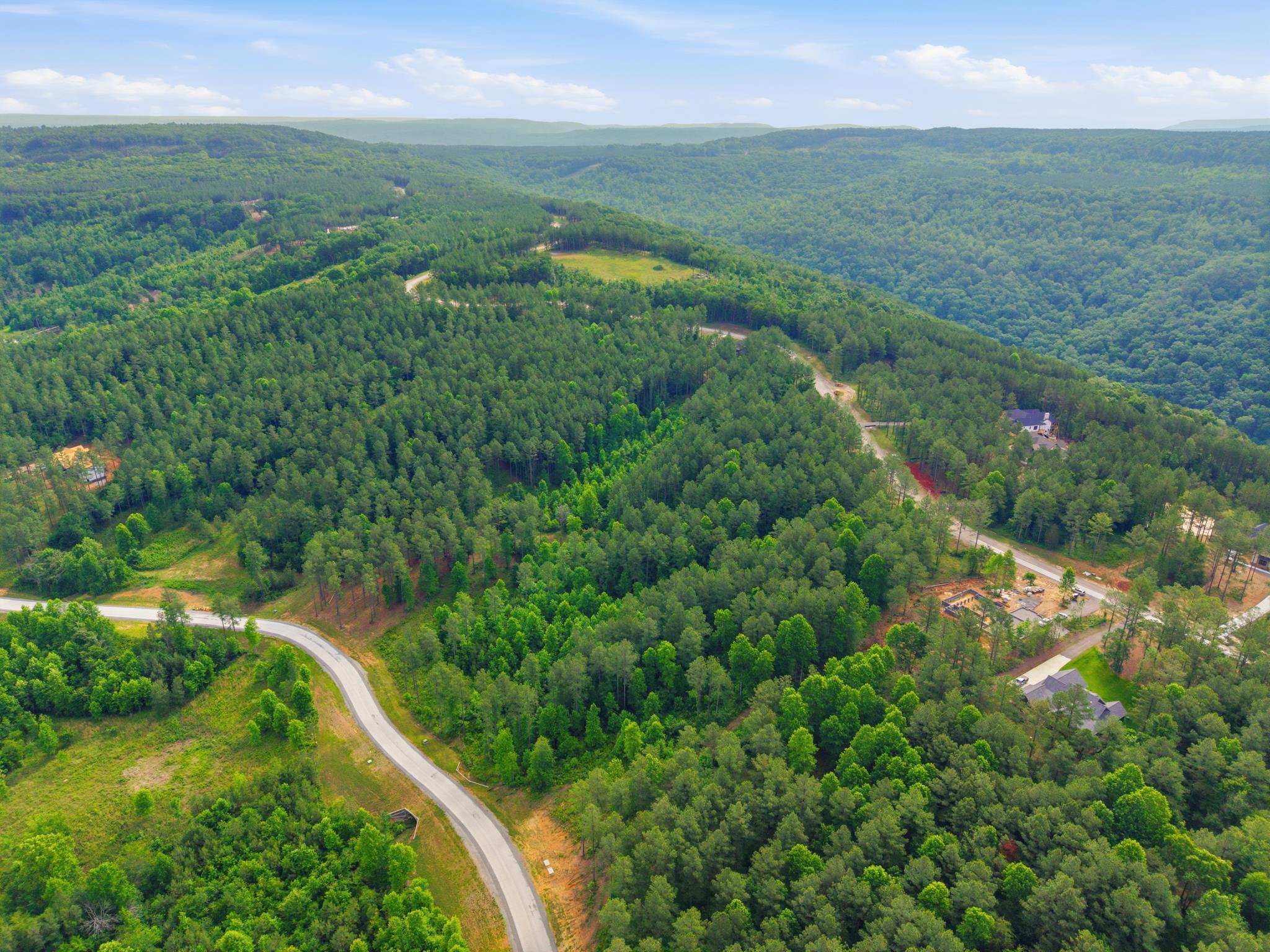 0 Birds Eye Way, Unit 1099 Guild, TN 37340 - Photo 10 of 15 1099 4