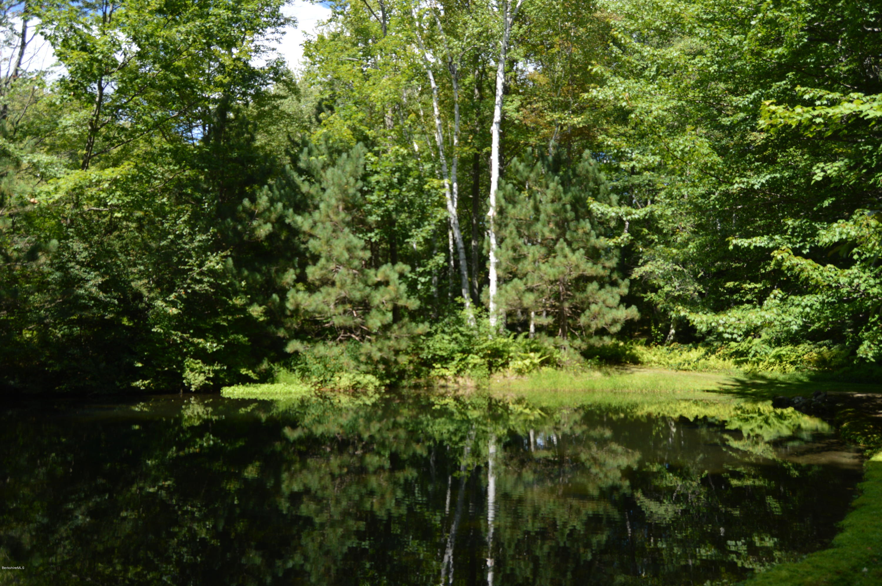 759 Hancock Road Williamstown, MA 01267 - Photo 52 of 71 a view of a forest