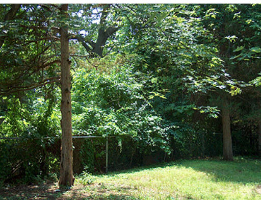 15 Whitfield Street Springfield, MA 01109 - Photo 2 of 2 Gallery Image 2