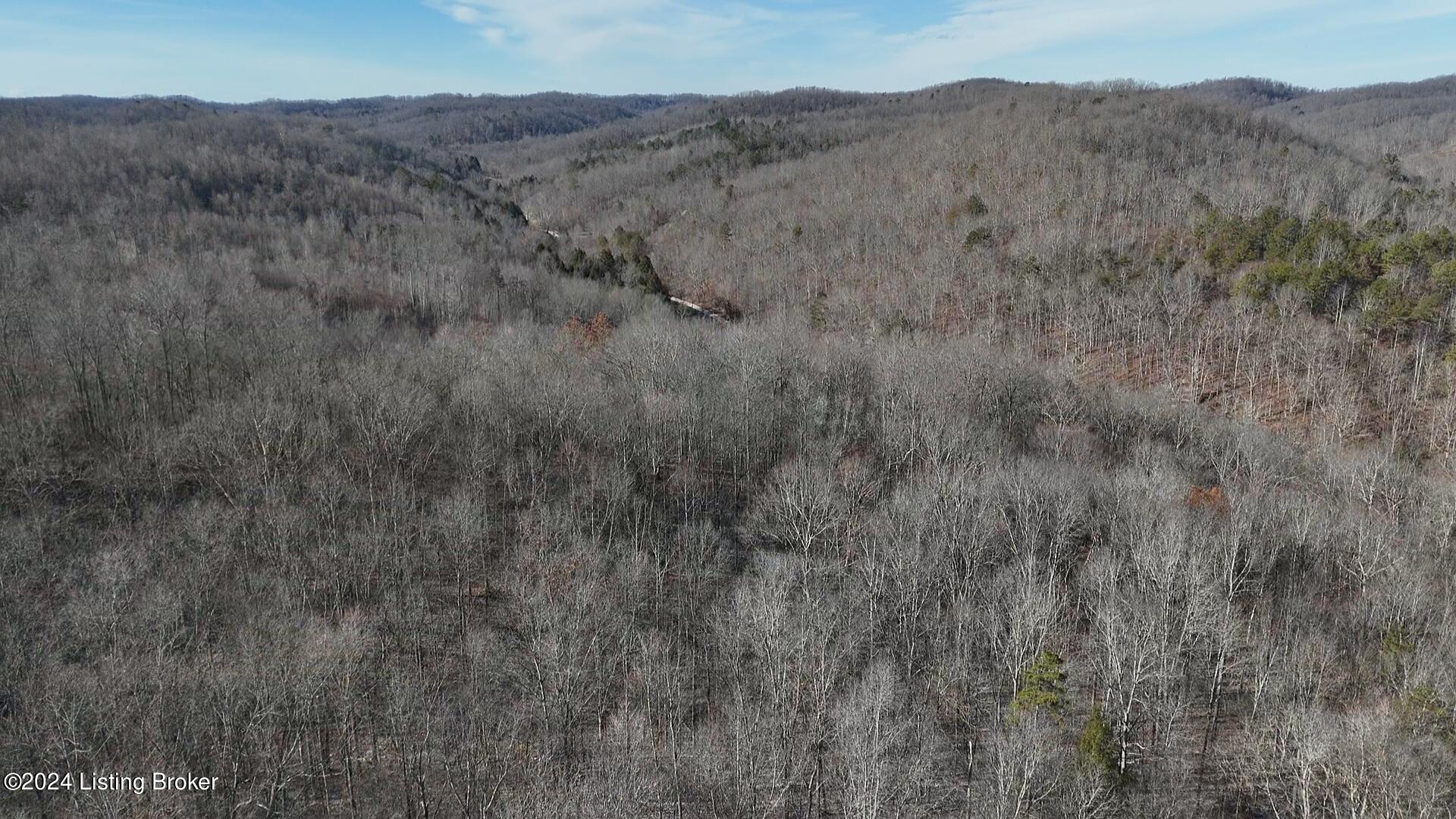 0 Cooper Road Greenup, KY 41144 - Photo 6 of 37 IMG_0301