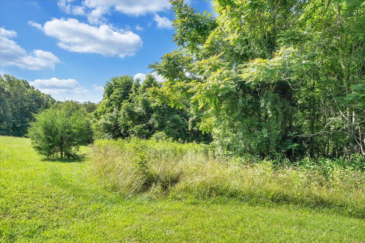 0 Mdw Rdg Drive Callaway, VA 24067 - Photo 1 of 22 16-MIB00883