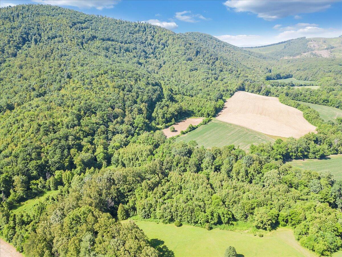 0 Mdw Rdg Drive Callaway, VA 24067 - Photo 12 of 22 11-DJI_0018