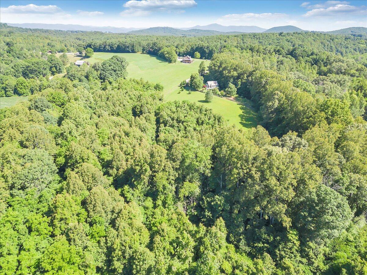 0 Mdw Rdg Drive Callaway, VA 24067 - Photo 16 of 22 07-DJI_0014