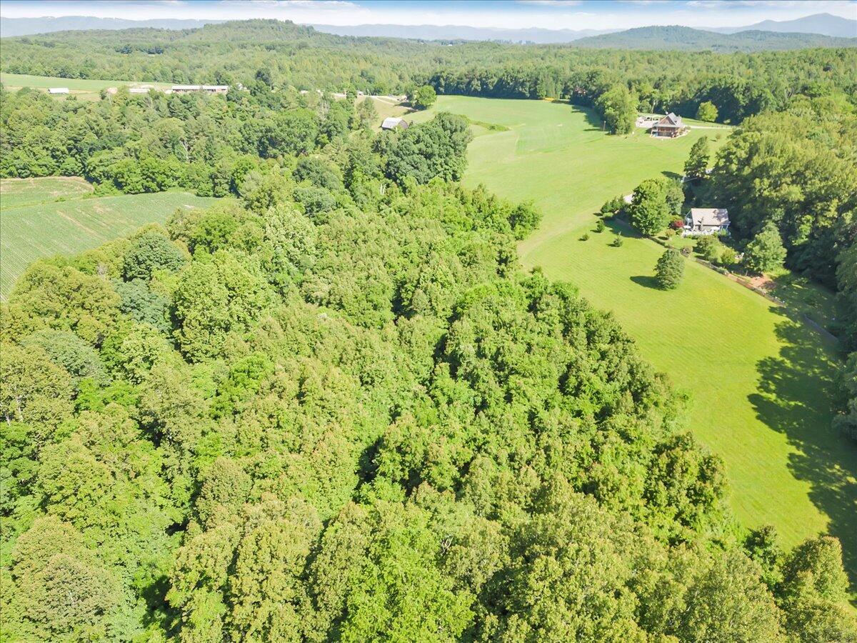 0 Mdw Rdg Drive Callaway, VA 24067 - Photo 17 of 22 06-DJI_0013