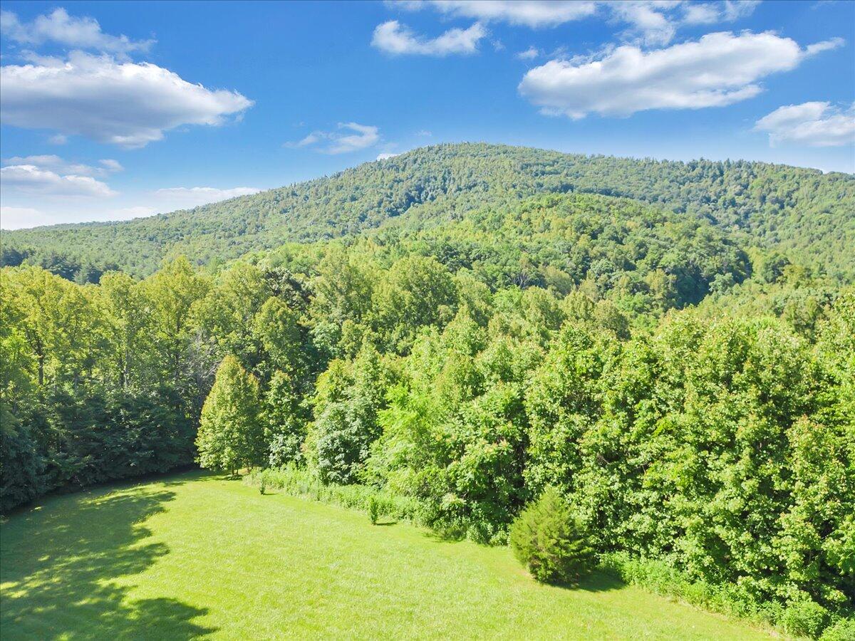 0 Mdw Rdg Drive Callaway, VA 24067 - Photo 19 of 22 04-DJI_0011