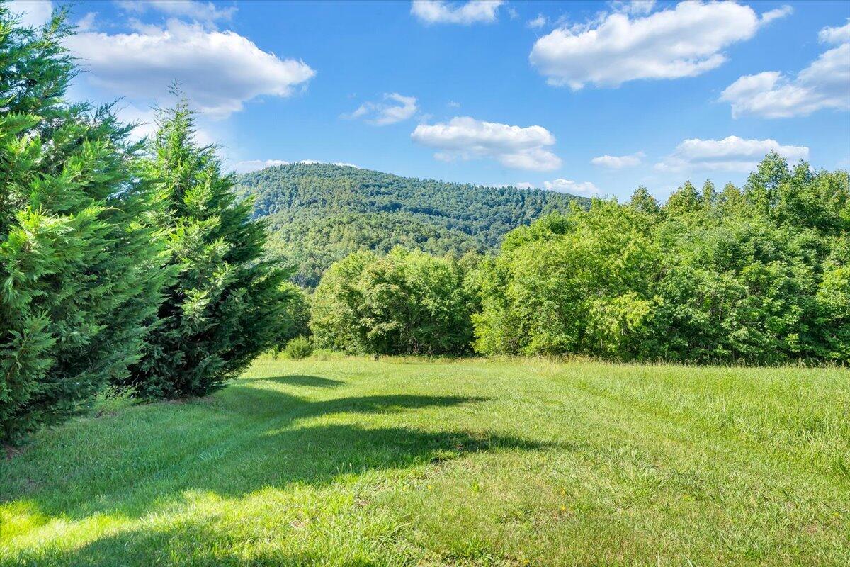 0 Mdw Rdg Drive Callaway, VA 24067 - Photo 22 of 22 01-MIB00880