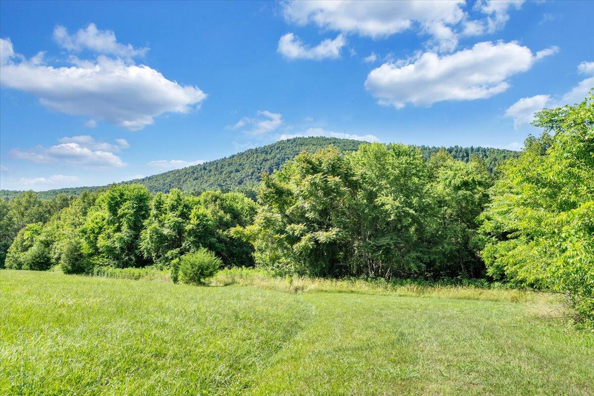 0 Mdw Rdg Drive Callaway, VA 24067 - Photo 3 of 22 21-MIB00898