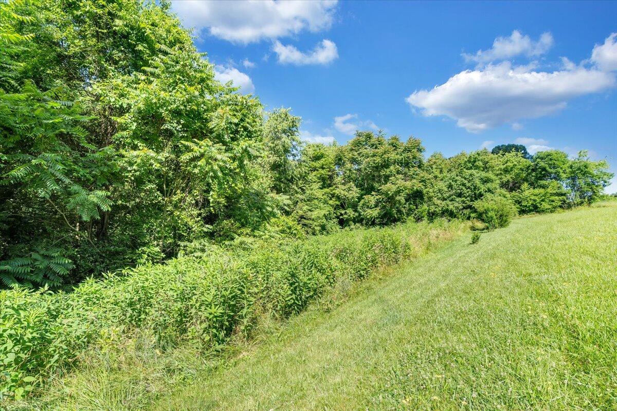 0 Mdw Rdg Drive Callaway, VA 24067 - Photo 4 of 22 20-MIB00895