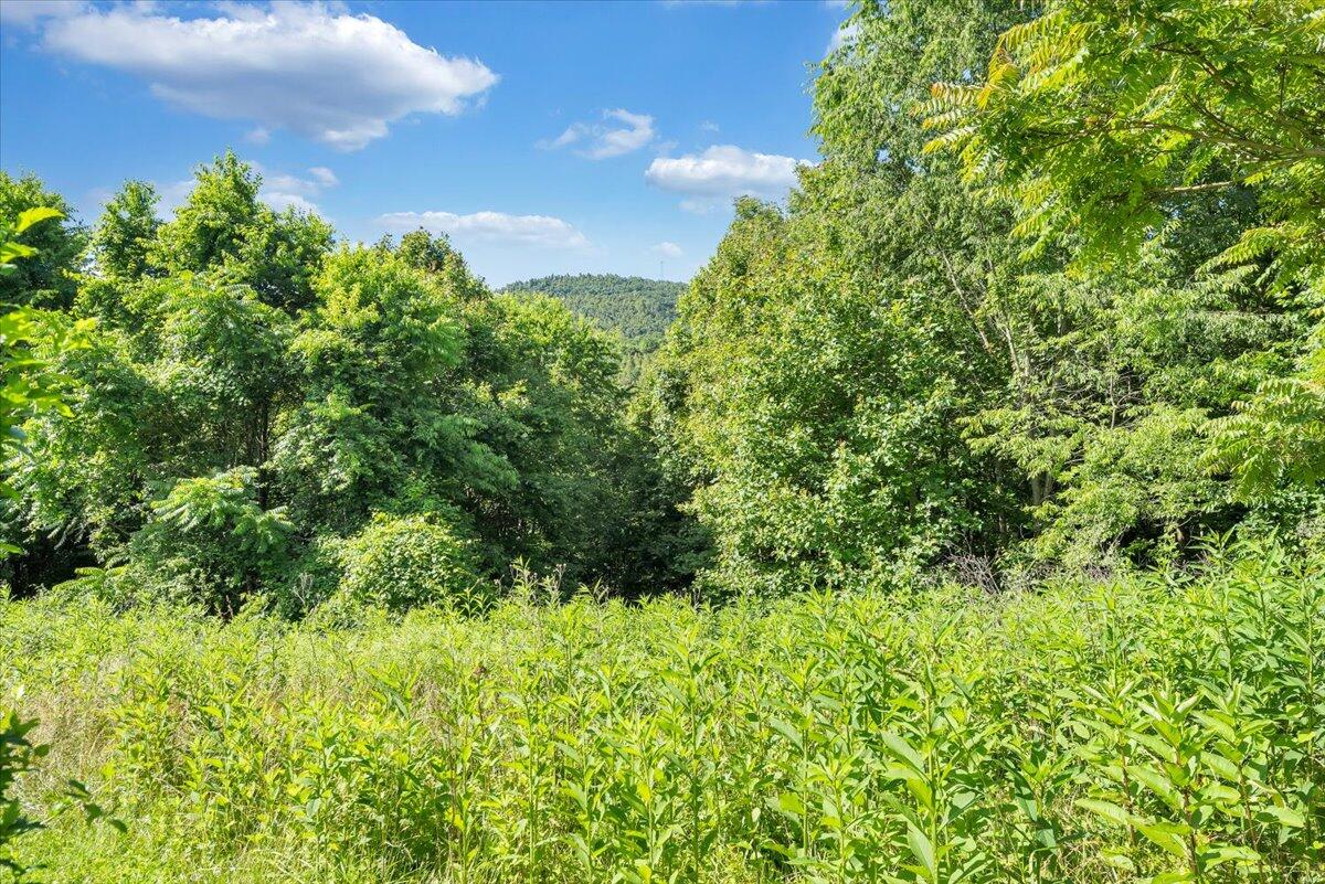 0 Mdw Rdg Drive Callaway, VA 24067 - Photo 7 of 22 17-MIB00886