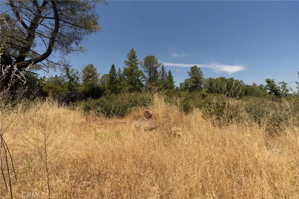 0 Doe Mill Road Magalia, CA 95954 - Photo 21 of 50