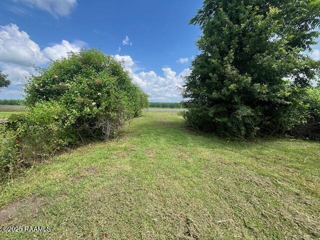 4702 Daspit Road New Iberia, LA 70563 - Photo 27 of 30 IMG_8563