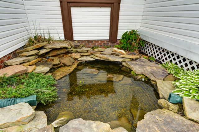 1251 Old Mack Road Clarksville, TN 37040 - Photo 17 of 20 Peaceful Koi Pond