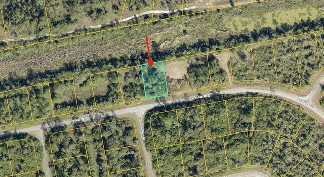 a view of a yard with plants